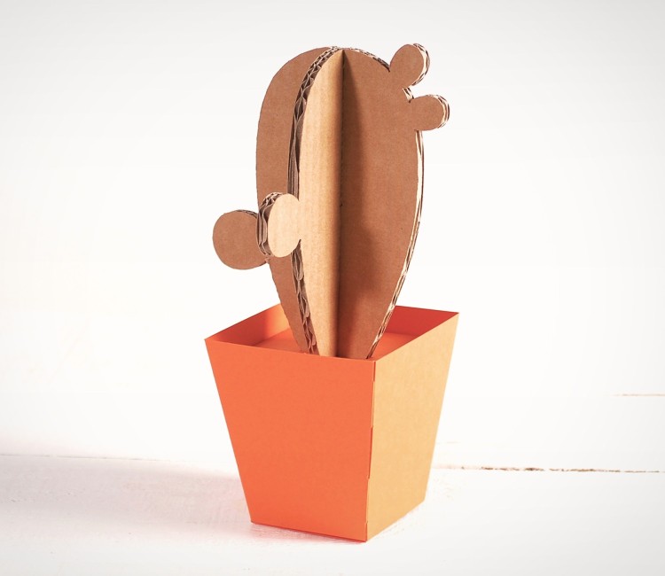 Cardboard Cactus, with Colourful Plant Pots!