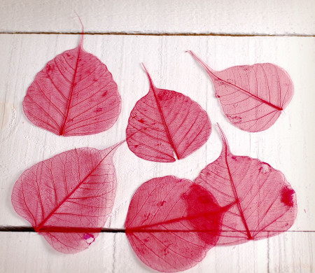 Decorative leaves for scrapbooking