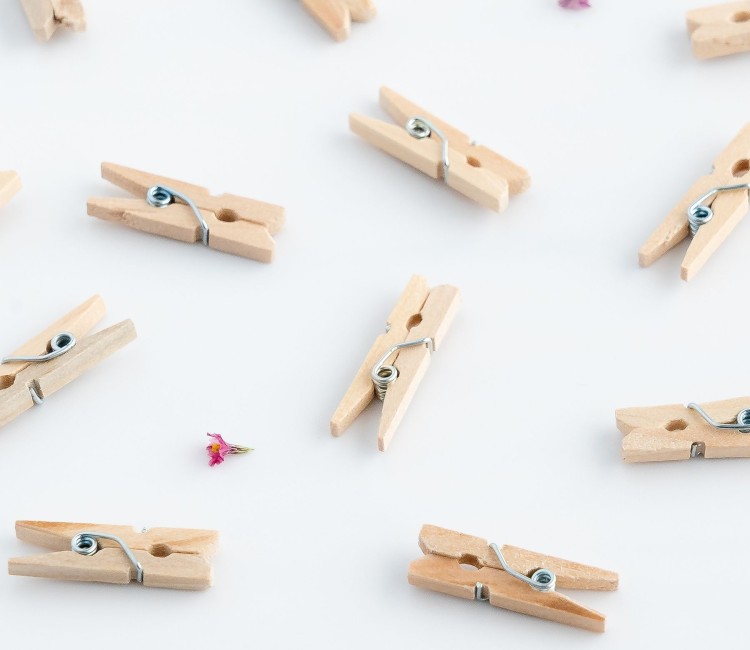 Mini wooden clothes pegs
