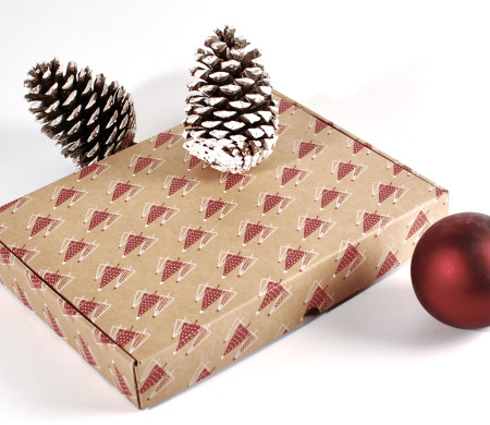 Postal delivery box Christmas edition