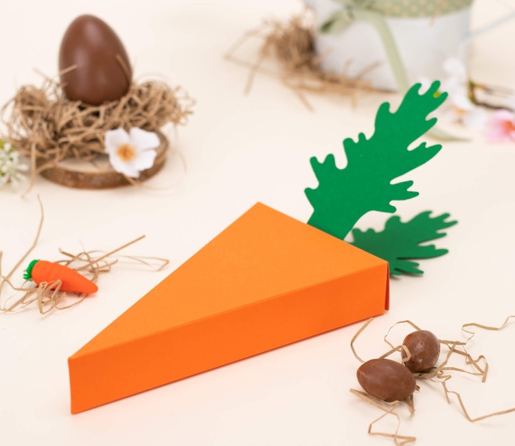 Scatola a Carota per Feste