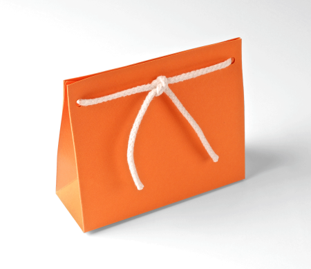 Paper Gift Bag with Cord