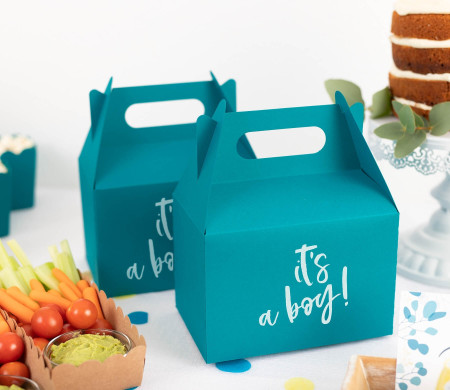 Picknick-Box aus Karton | Mit Henkel und personalisierbar