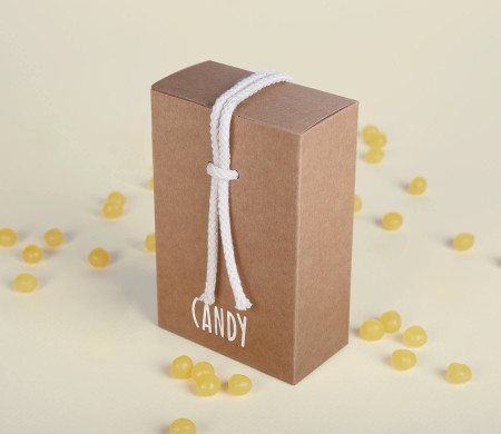 Boîte Cadeau en Carton avec Fermeture Originale