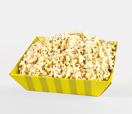 Square Cardboard Tray | SelfPackaging