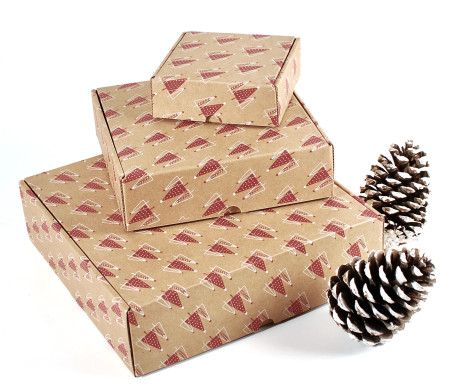 Versandkarton mit Weihnachtsmotiv