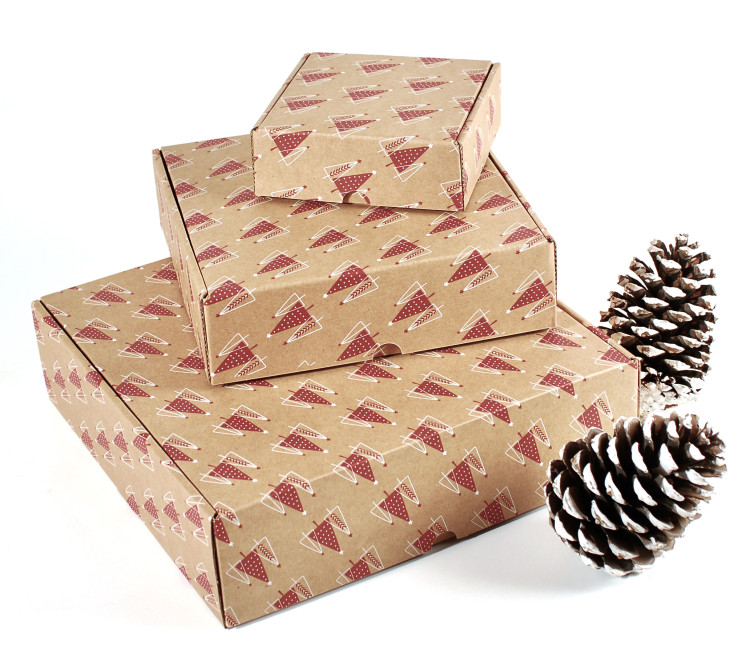 Versandkarton mit Weihnachtsmotiv