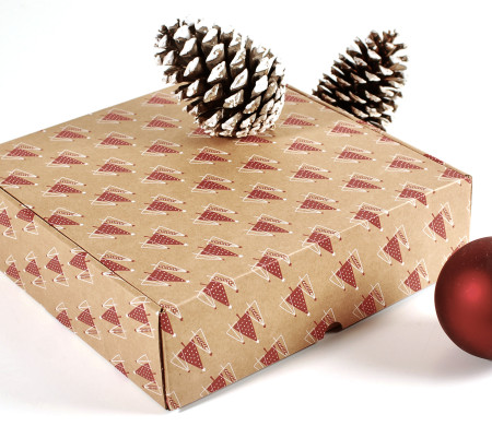 Shipping box with Christmas print