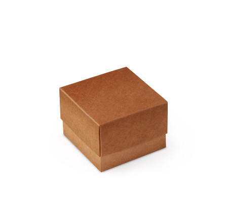 Bonita Caja Regalo con Tapa y Lazo Decorativo