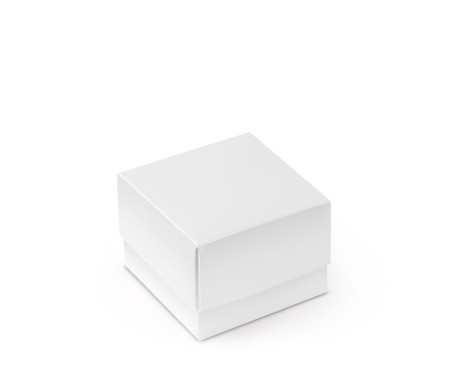 Bonita Caja Regalo con Tapa y Lazo Decorativo