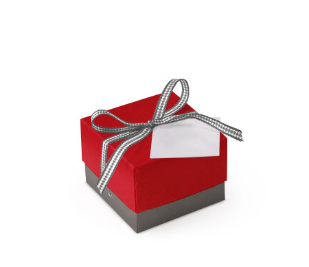 Graziosa Scatola Regalo con Coperchio e Fiocco Decorativo 