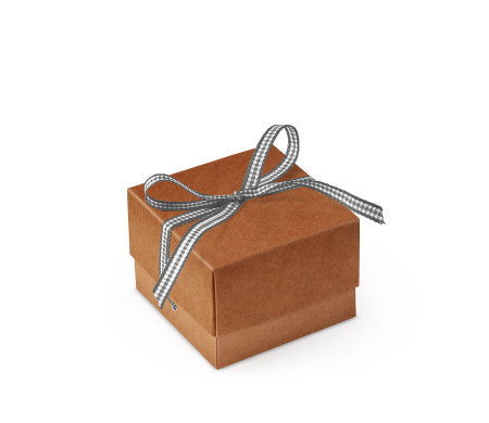 Bonita Caja Regalo con Tapa y Lazo Decorativo