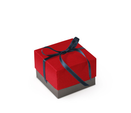 Schöne Geschenkbox mit Deckel und Schleife