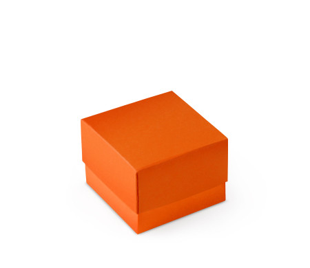 Graziosa Scatola Regalo con Coperchio e Fiocco Decorativo 