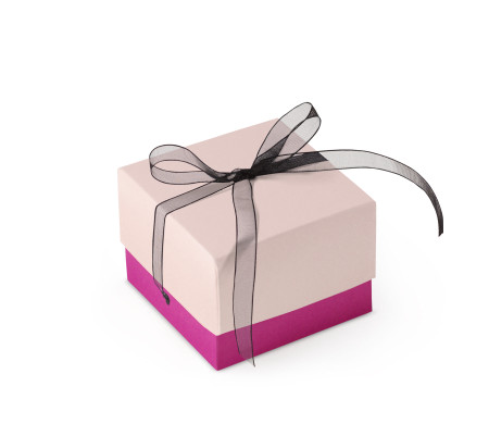 Graziosa Scatola Regalo con Coperchio e Fiocco Decorativo 