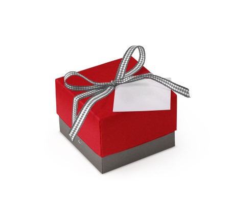Bonita Caja Regalo con Tapa y Lazo Decorativo