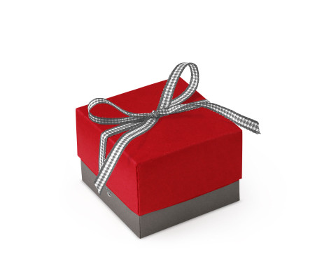 Bonita Caja Regalo con Tapa y Lazo Decorativo