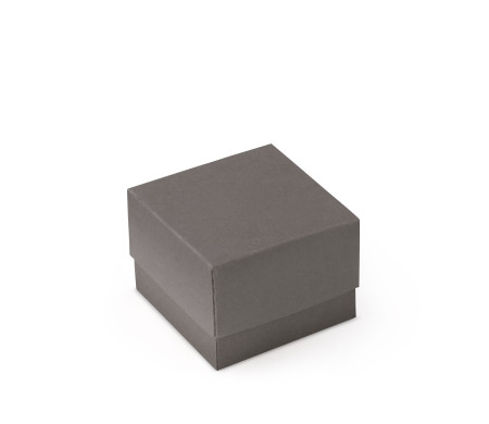 Bonita Caja Regalo con Tapa y Lazo Decorativo