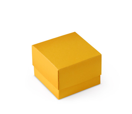 Bonita Caja Regalo con Tapa y Lazo Decorativo
