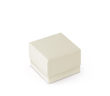 Bonita Caja Regalo con Tapa y Lazo Decorativo