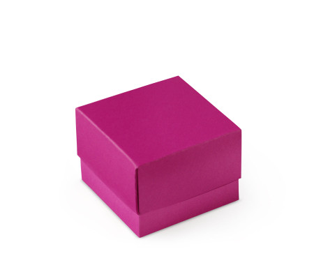 Bonita Caja Regalo con Tapa y Lazo Decorativo