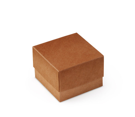 Bonita Caja Regalo con Tapa y Lazo Decorativo