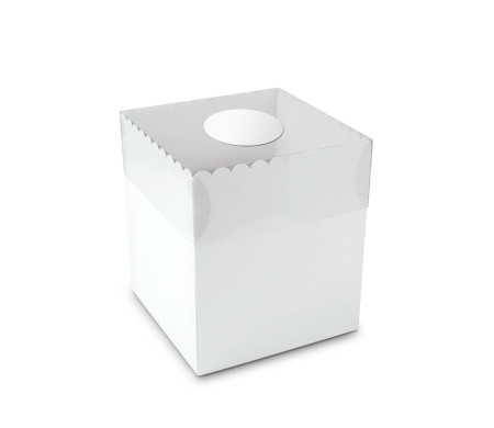 Boîte à Gâteaux et Tartes avec Couvercle Transparent