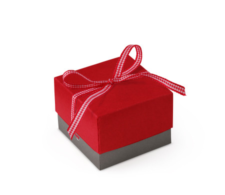 Graziosa Scatola Regalo con Coperchio e Fiocco Decorativo 