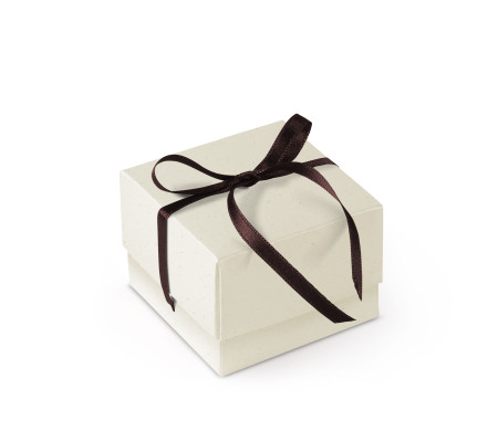 Bonita Caja Regalo con Tapa y Lazo Decorativo