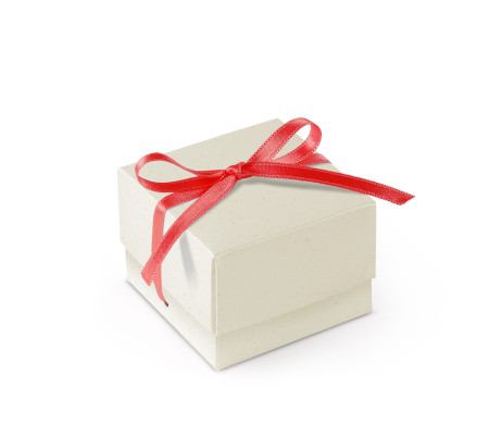 Bonita Caja Regalo con Tapa y Lazo Decorativo