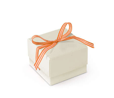 Graziosa Scatola Regalo con Coperchio e Fiocco Decorativo 