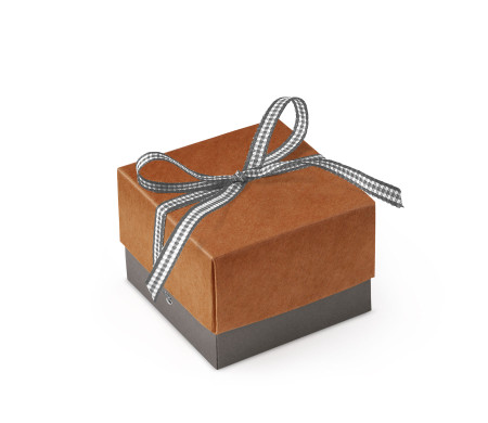 Bonita Caja Regalo con Tapa y Lazo Decorativo