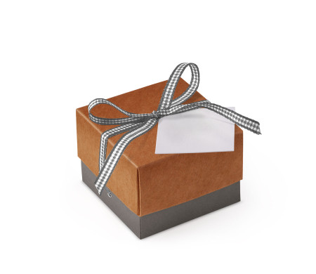 Graziosa Scatola Regalo con Coperchio e Fiocco Decorativo 