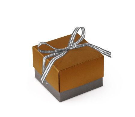 Bonita Caja Regalo con Tapa y Lazo Decorativo