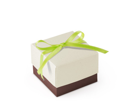Pretty Gift Box with Lid and Decorative Bow