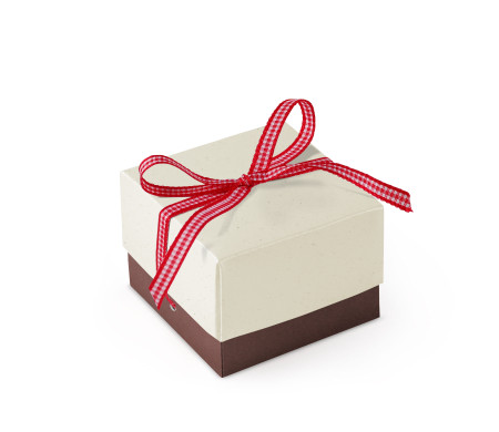 Bonita Caja Regalo con Tapa y Lazo Decorativo