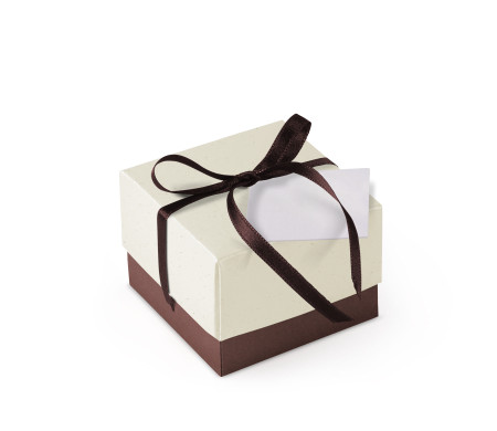 Jolie Boîte Cadeau avec Fermeture et Noeud Décoratif
