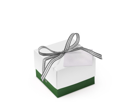 Bonita Caja Regalo con Tapa y Lazo Decorativo