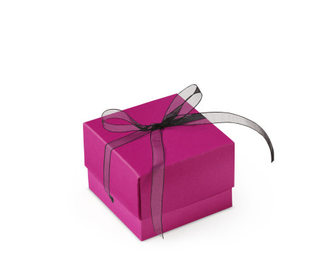 Graziosa Scatola Regalo con Coperchio e Fiocco Decorativo 