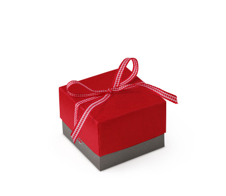 Graziosa Scatola Regalo con Coperchio e Fiocco Decorativo 