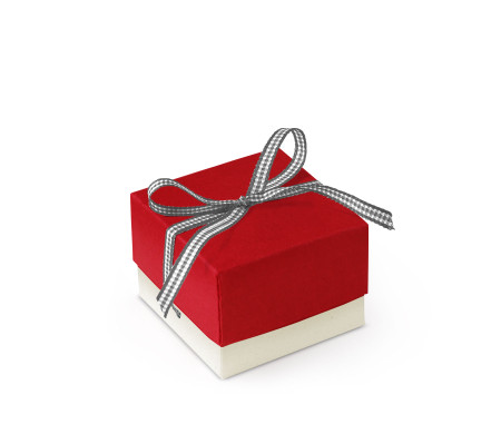 Bonita Caja Regalo con Tapa y Lazo Decorativo