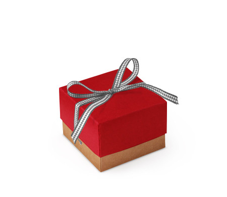 Bonita Caja Regalo con Tapa y Lazo Decorativo