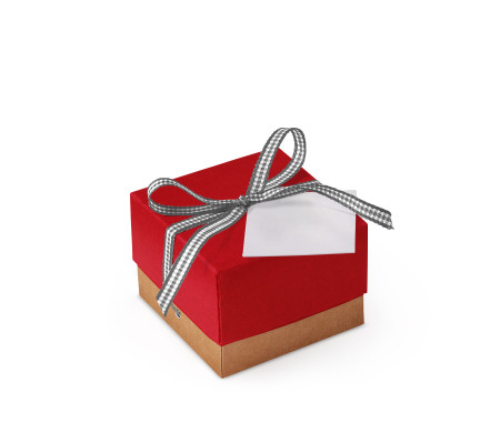 Schöne Geschenkbox mit Deckel und Schleife