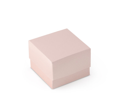 Bonita Caja Regalo con Tapa y Lazo Decorativo
