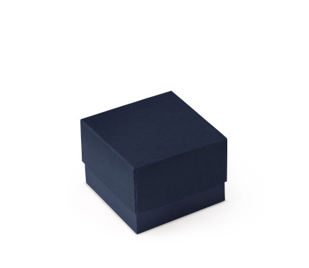 Bonita Caja Regalo con Tapa y Lazo Decorativo