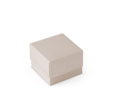 Bonita Caja Regalo con Tapa y Lazo Decorativo