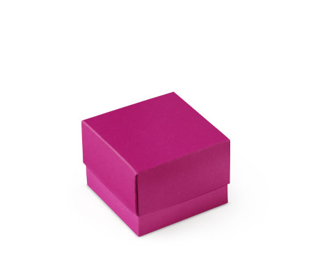 Bonita Caja Regalo con Tapa y Lazo Decorativo