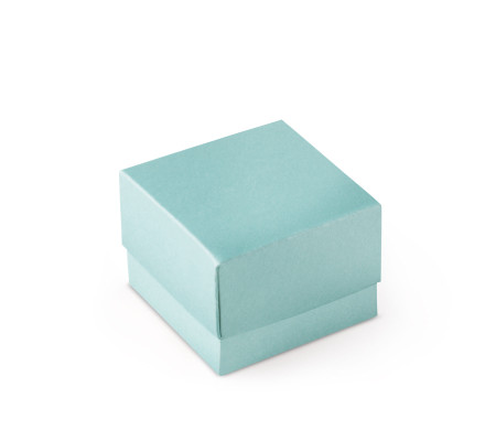 Bonita Caja Regalo con Tapa y Lazo Decorativo