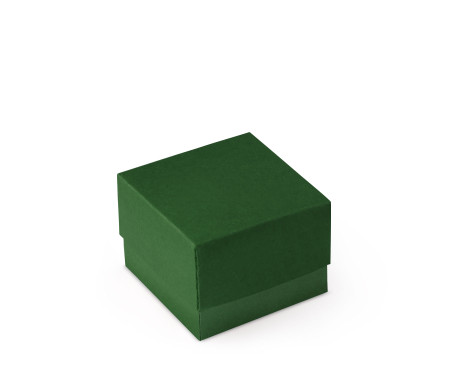 Graziosa Scatola Regalo con Coperchio e Fiocco Decorativo 