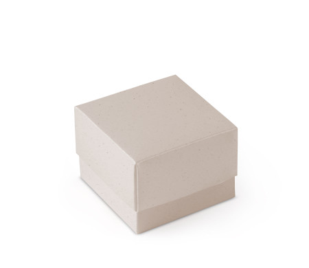 Bonita Caja Regalo con Tapa y Lazo Decorativo